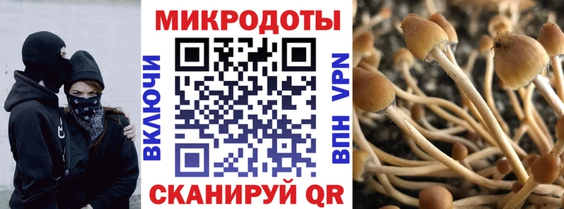 МЕГА ссылки  Лодейное Поле  Псилоцибиновые грибы ЛСД  закладки 